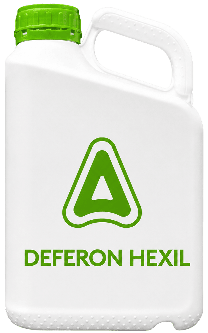 DEFERON EXIL